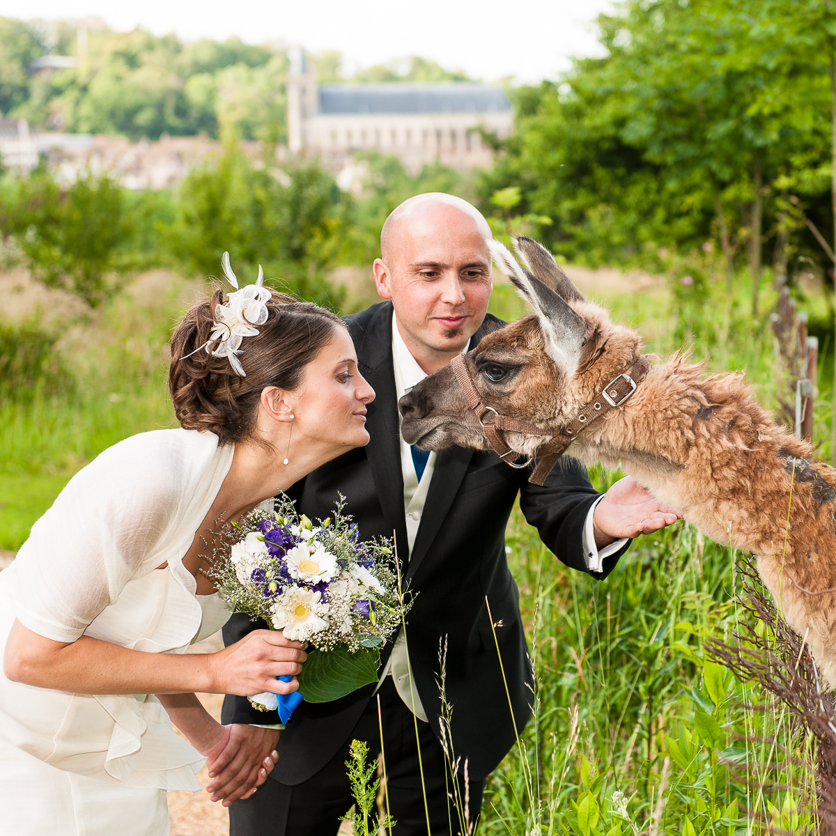 visite au lama